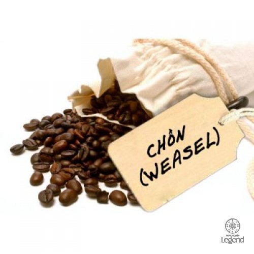 Cà Phê Drip - Chồn (Weasel) hạt số 8 - 250gr